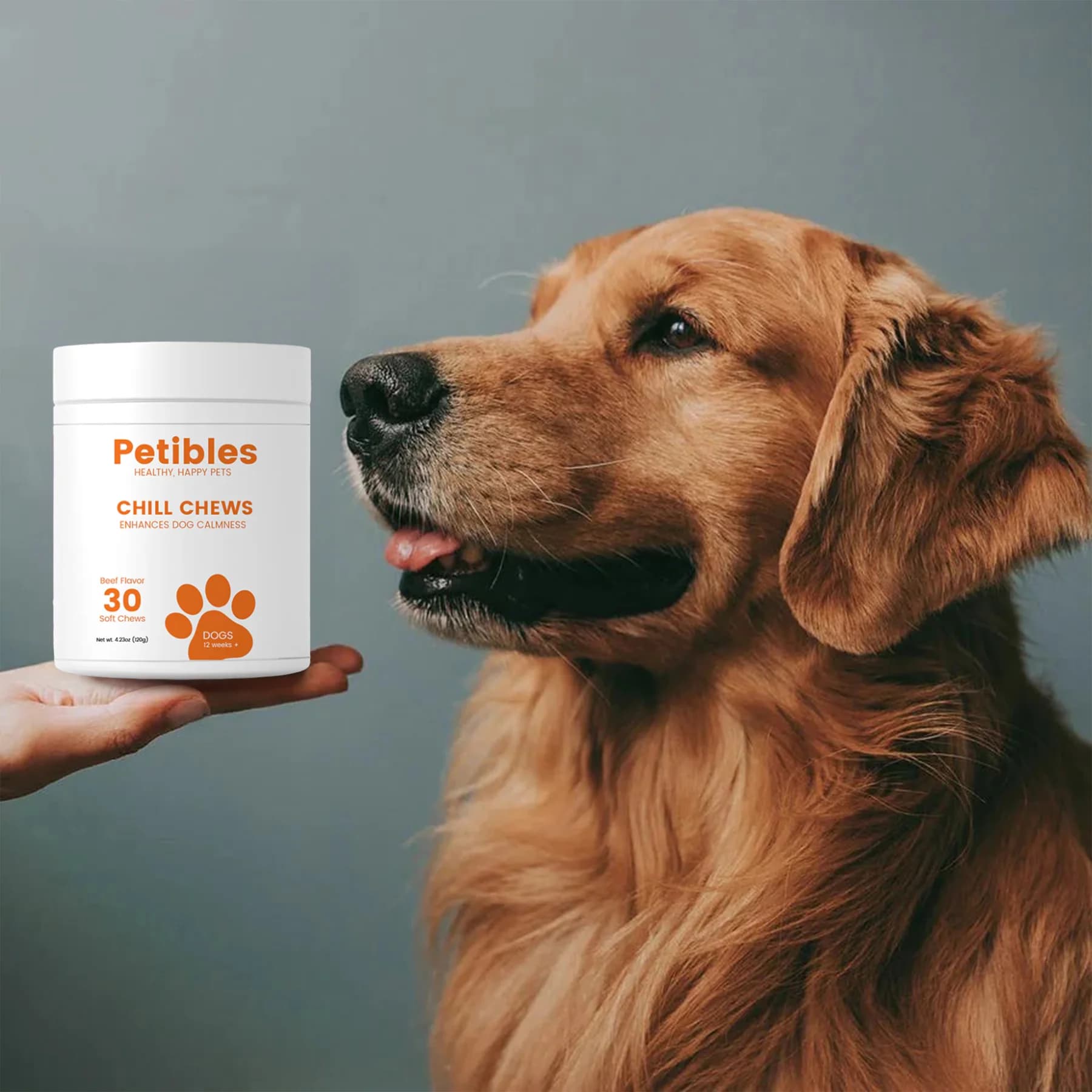 Dog with Chill Chews